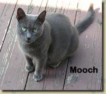 mooch