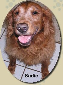 sadie